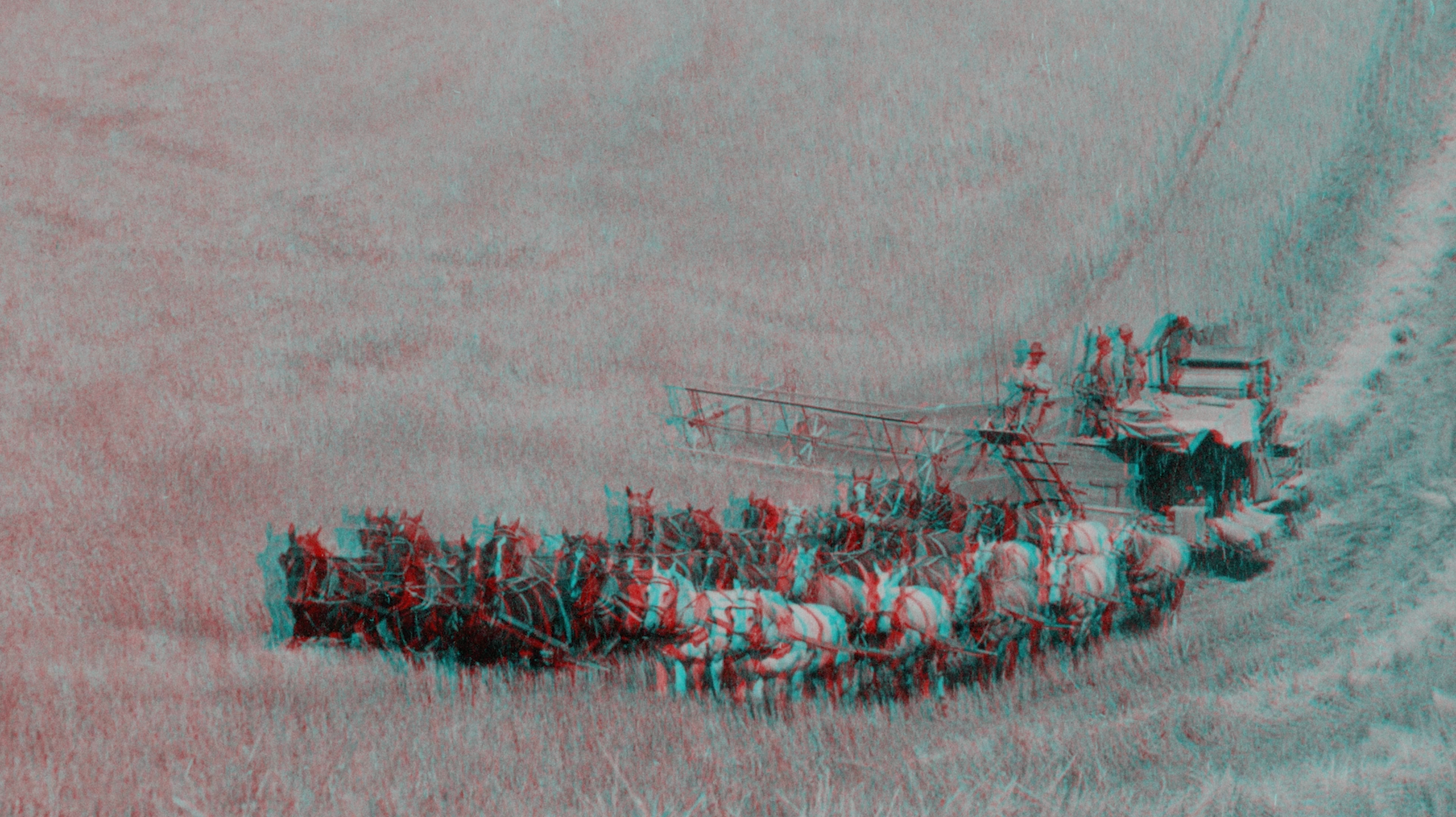 Rich Pell - Codex Entropia