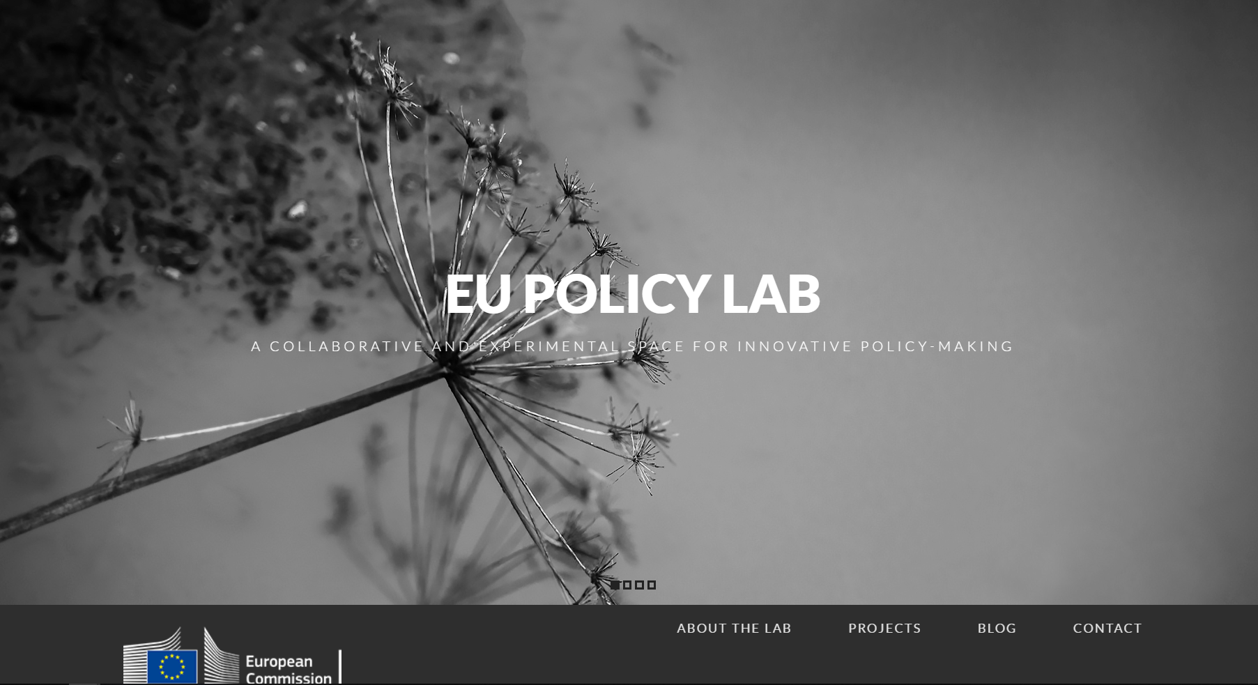 EU Policy Lab