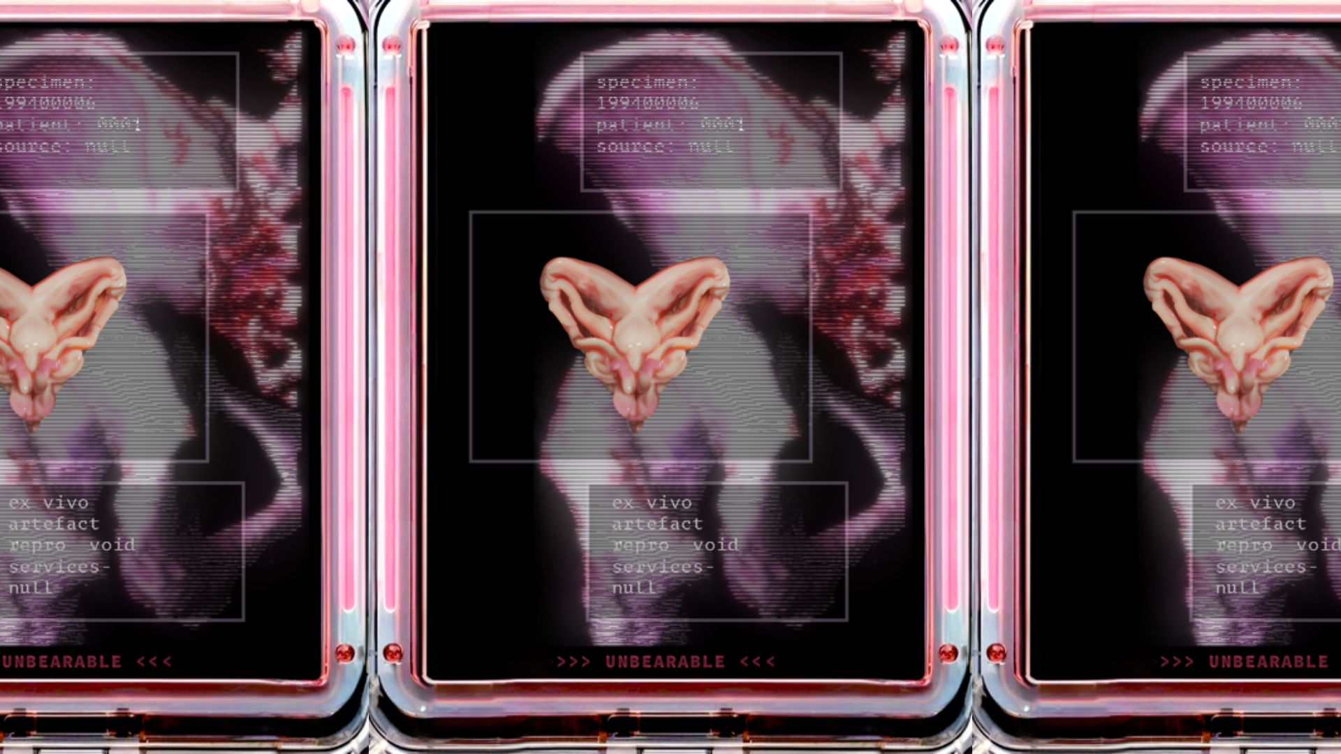 Lyndsey Walsh - Unbearable