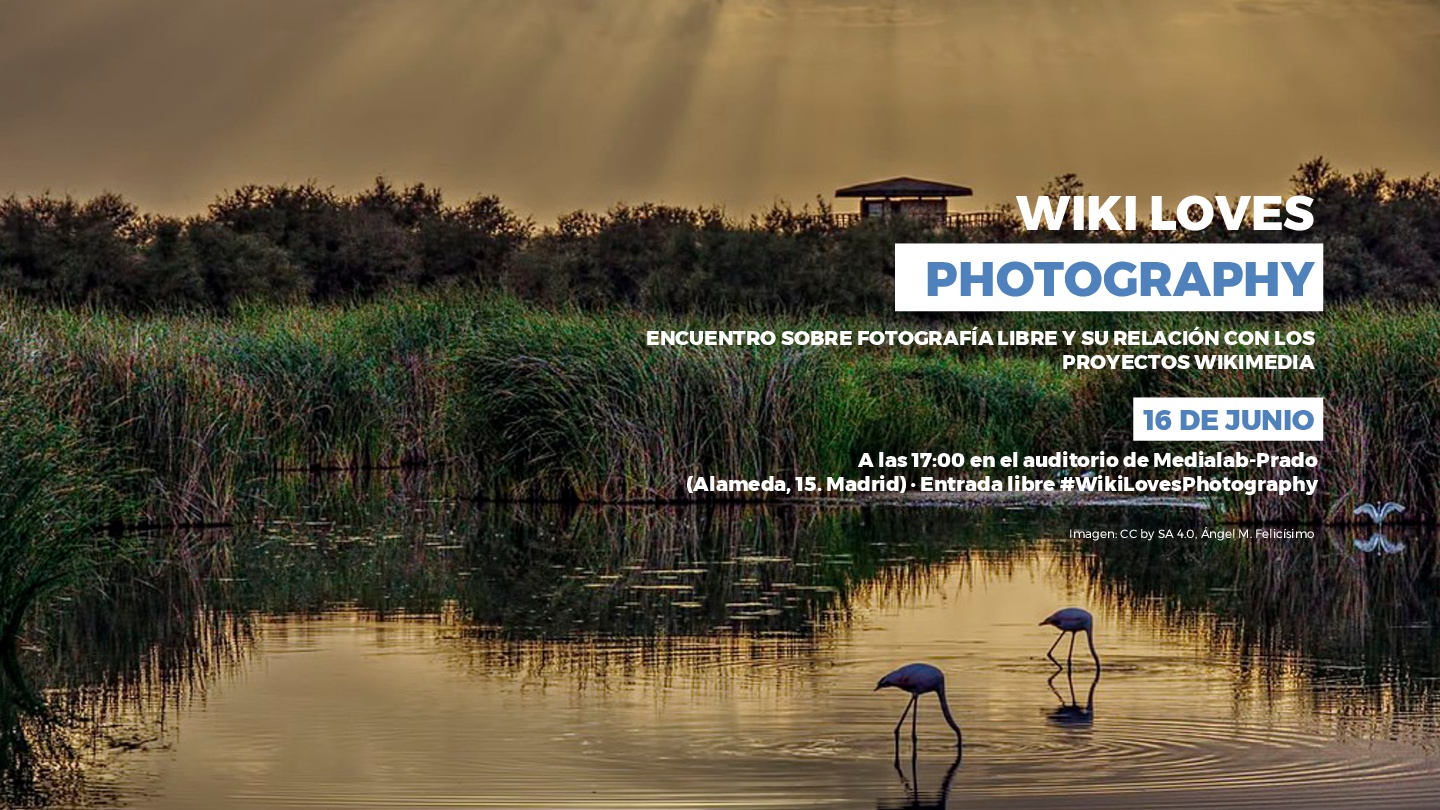 Wiki Loves Photography
