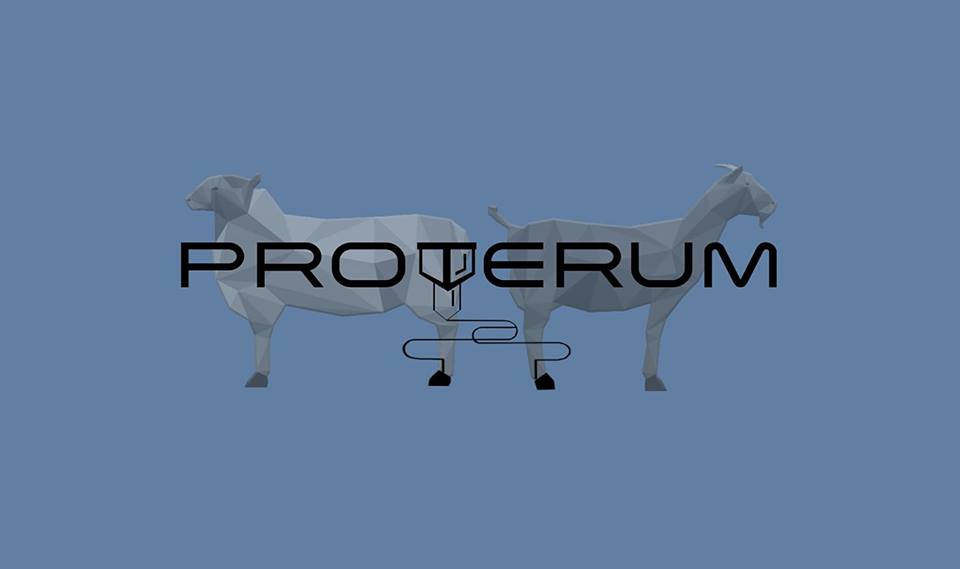 Proyecto Proterum