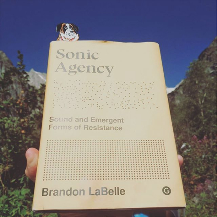 Brandon LaBelle - Lexicon of The Mouth - Poetics and Politics of