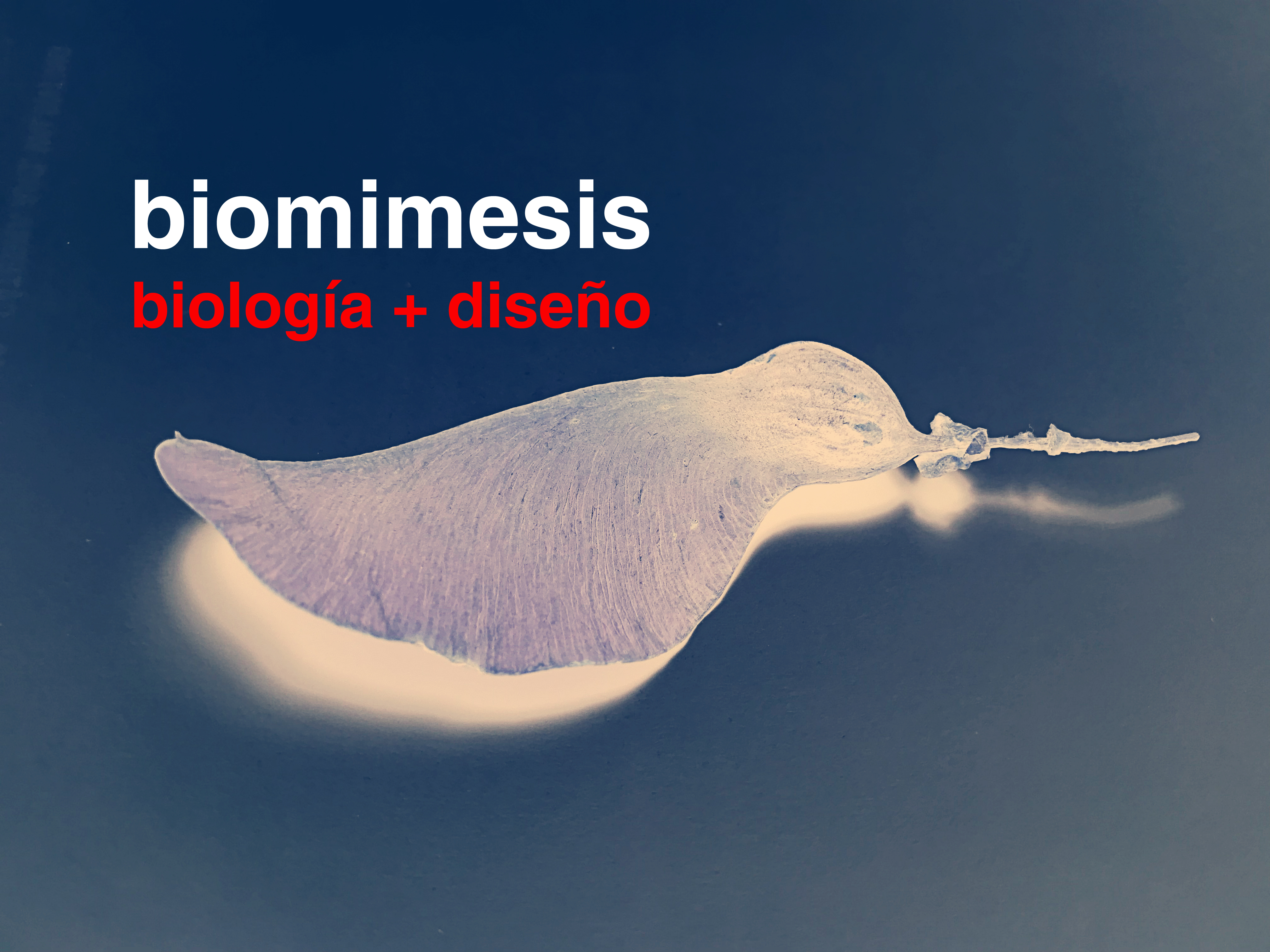 Biomímesis