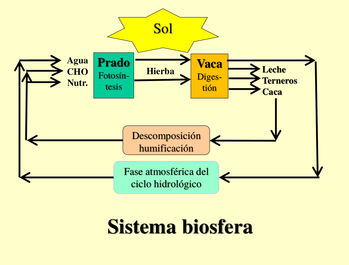 sistema biosfera, de JM Naredo