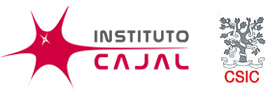 Logo Instituto Ramón Cajal