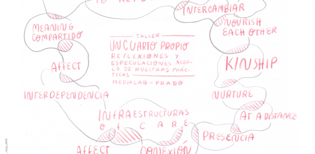 Elvia Vasconcelos image