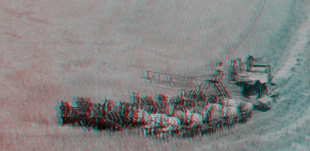 Rich Pell - Codex Entropia