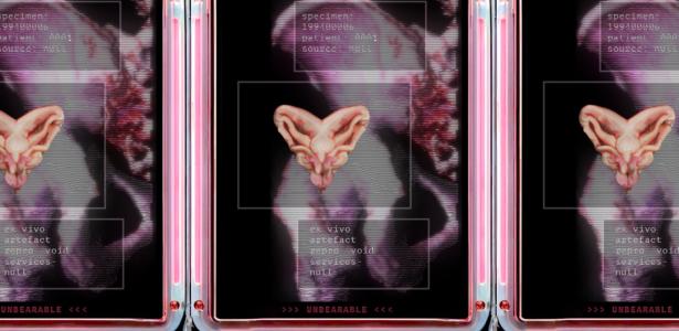 Lyndsey Walsh - Unbearable