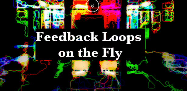 Feedback Loops on the Fly: creating improvised sound system merging live patching and hardware hacking techniques in a live performance