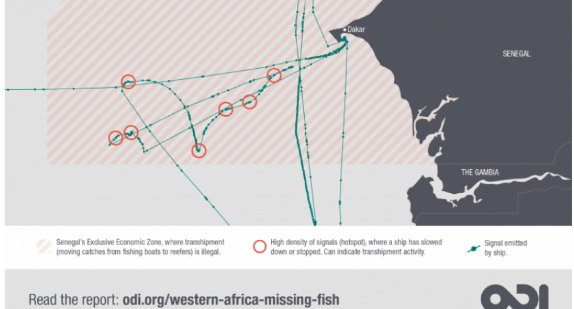 Detalle del informe de ODI sobre pesca ilegal
