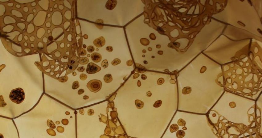 Foto de tejido imitando formas celulares