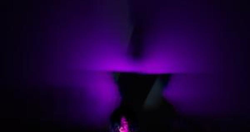 O Museu Como Performance, “Fauna”, Merche Blasco, Fundação de Serralves, Porto; 18 of october 2025. Fotos © André Delhaye