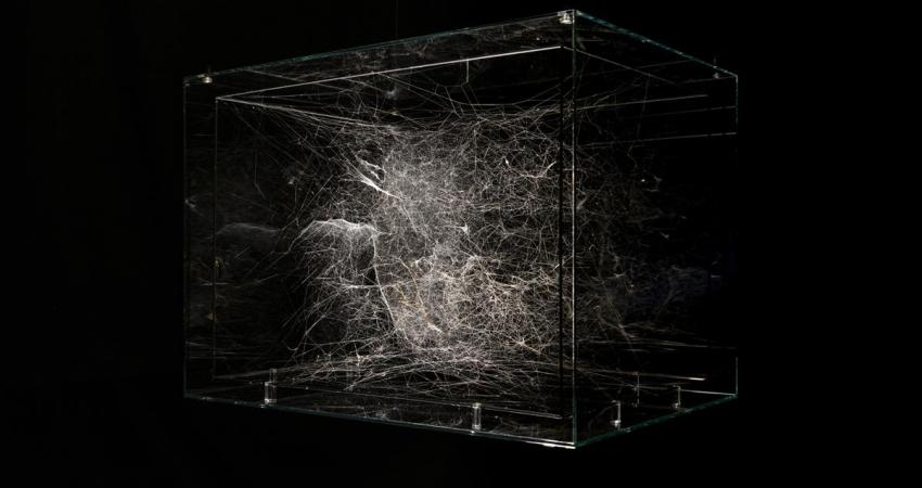 Obra de Tomás Saraceno, Viviendo en el fondo del océano del aire (araña subacuática), 2018 (detalle.)