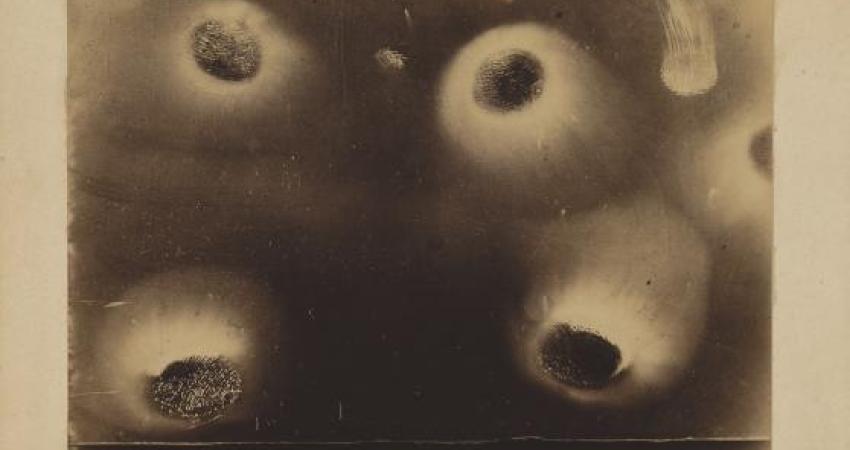 Collection Société française de photographie (coll. SFP). Archivo de la artista.