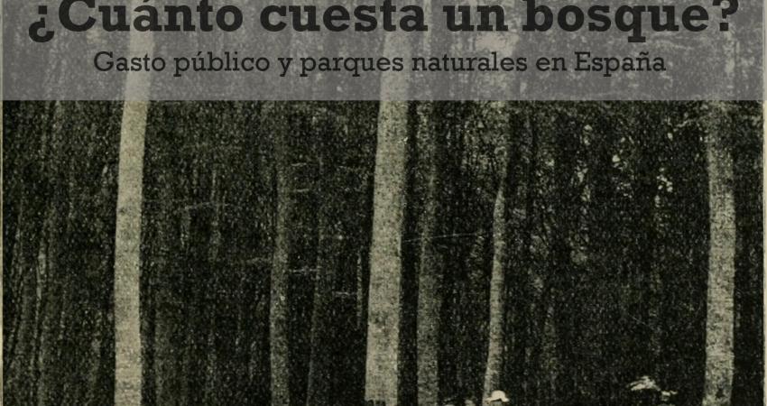 ¿Cuánto cuesta un bosque? Gasto público y parques naturales en España