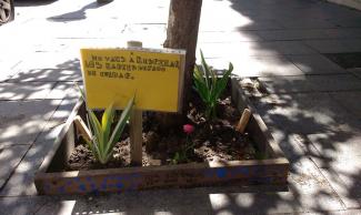 Del Bulevar a La Palmera: Vallecas florece