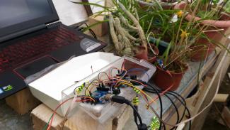Sonorizar plantas a través de sensores de humedad.
