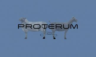 Proyecto Proterum