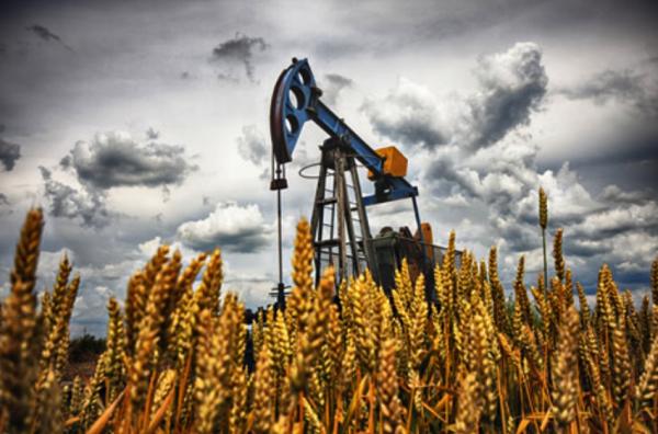 Campo de trigo con una explotación de petróleo al lado