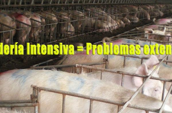 Ganadería intensiva, problemas extensivos. 