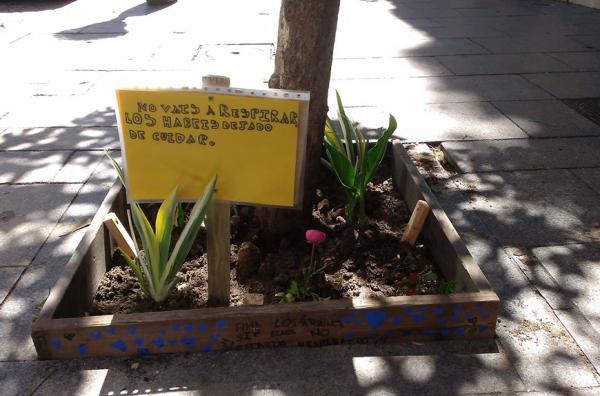 Del Bulevar a La Palmera: Vallecas florece