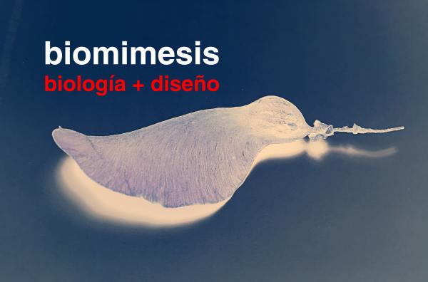 Biomímesis: Biología + Diseño