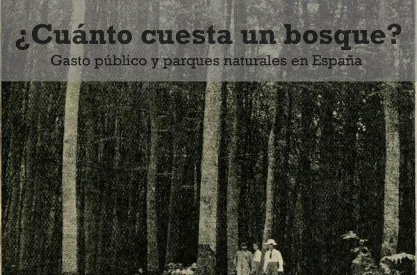 ¿Cuánto cuesta un bosque? Gasto público y parques naturales en España