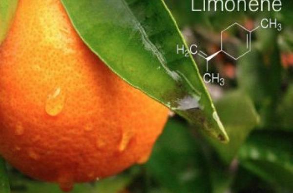 Cadena Limoneno