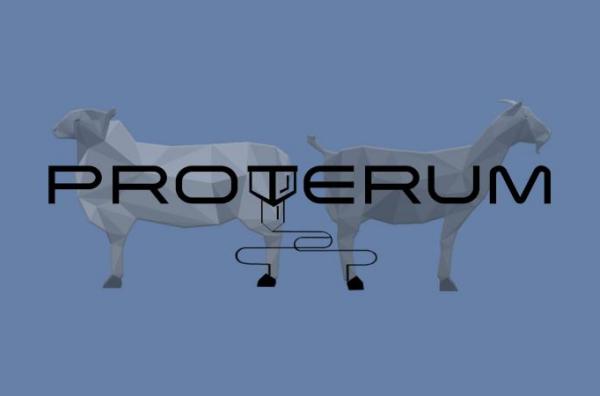 Una nueva alternativa para las cojeras en pequeños rumiantes.