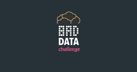 Bad Data Challenge