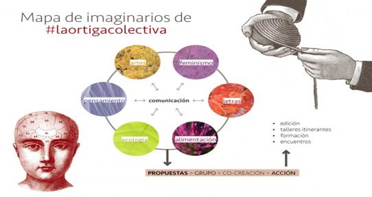 imaginarios ortiga colectiva