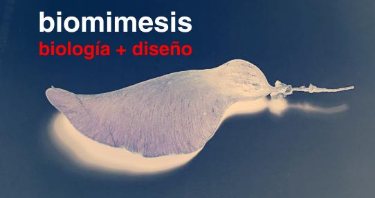 Biomímesis: Biología + Diseño