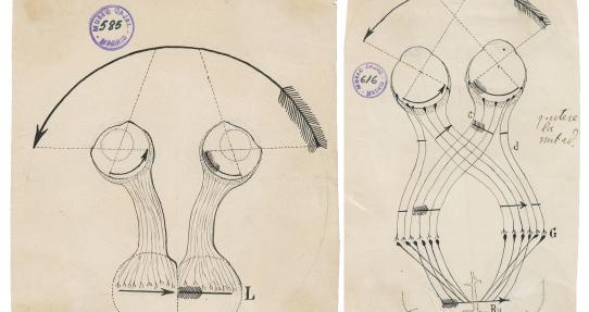 Diagramas de Ramón y Cajal