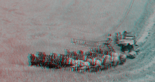 Rich Pell - Codex Entropia