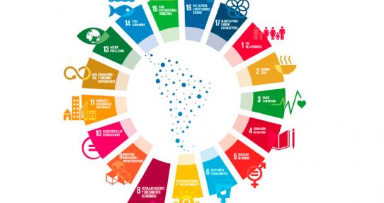 Thinking of a common future: Do you know the SDGs?