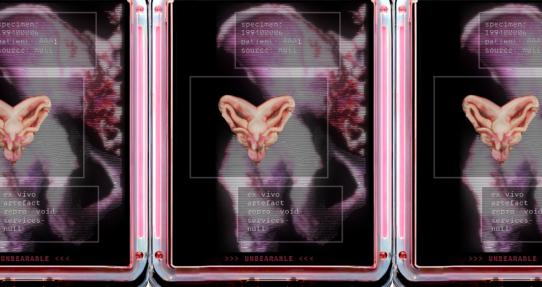 Lyndsey Walsh - Unbearable