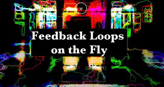 Feedback Loops on the Fly: creating improvised sound system merging live patching and hardware hacking techniques in a live performance